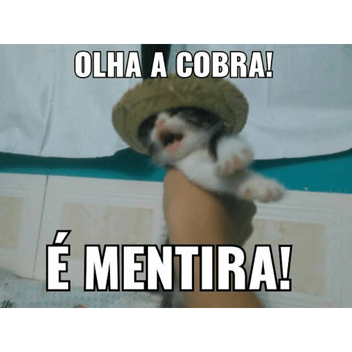ATUALIZAÇÃO PRO ZAP 13