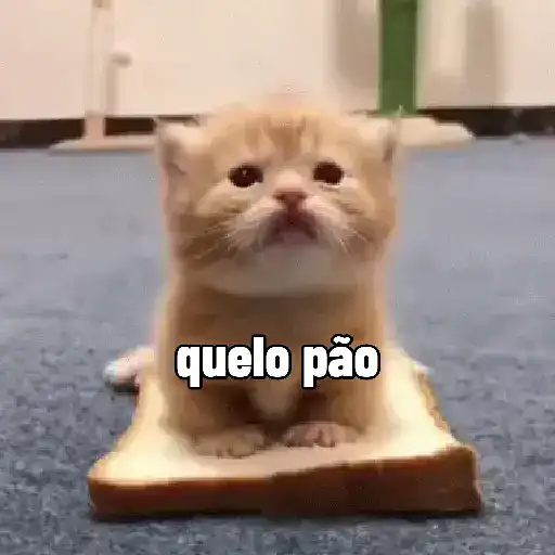 Cute pals 6