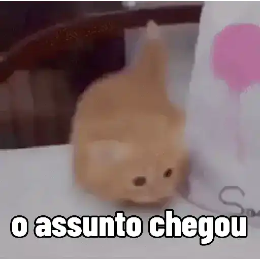 Cute pals 9