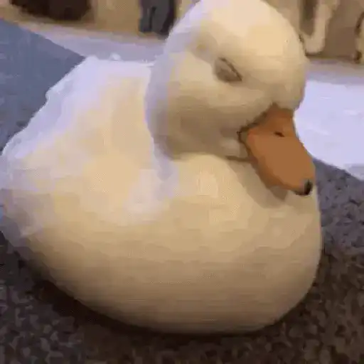 Cute pals 5