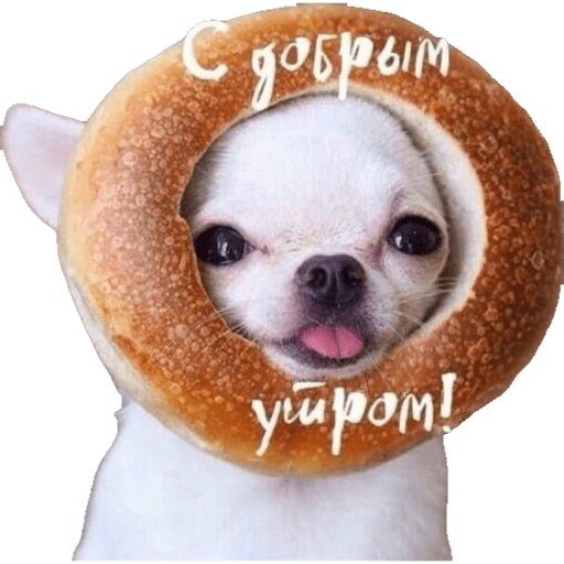 Мои стикеры 12