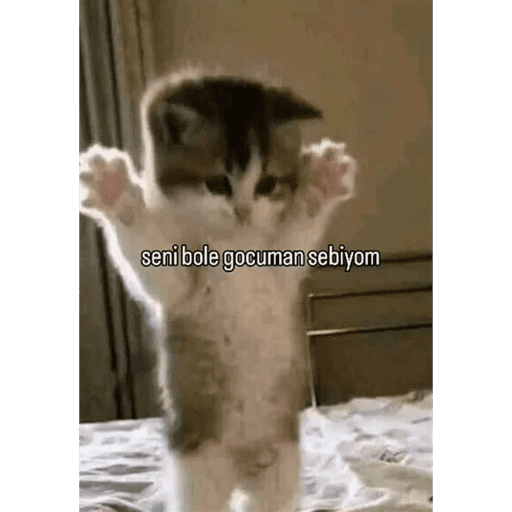 Çıkartmalarım 18