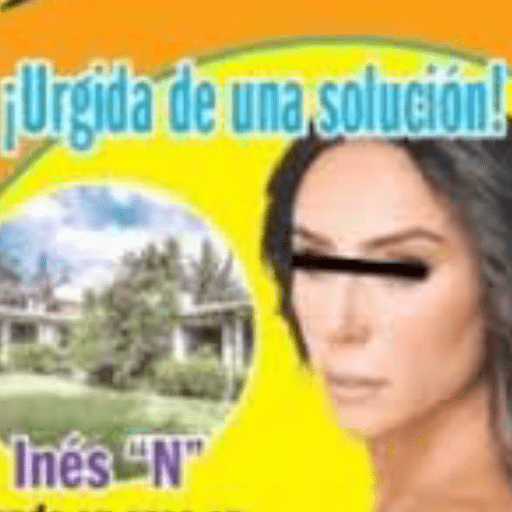 TvNotas 13