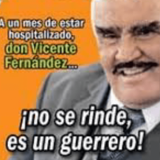 TvNotas 11