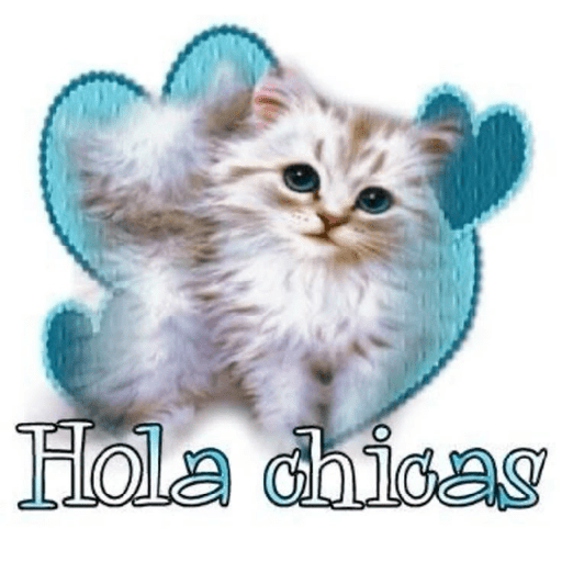 Meow 10
