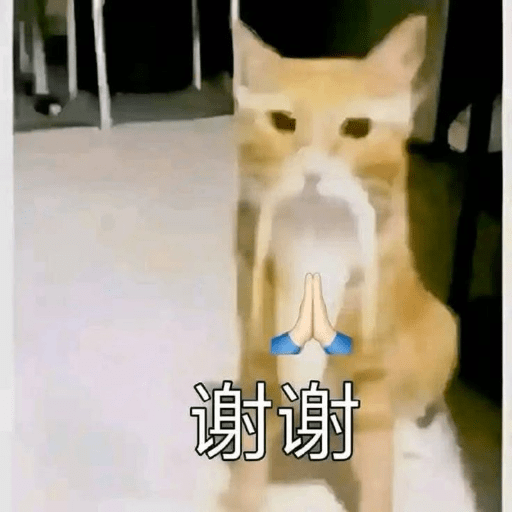 Meow 4