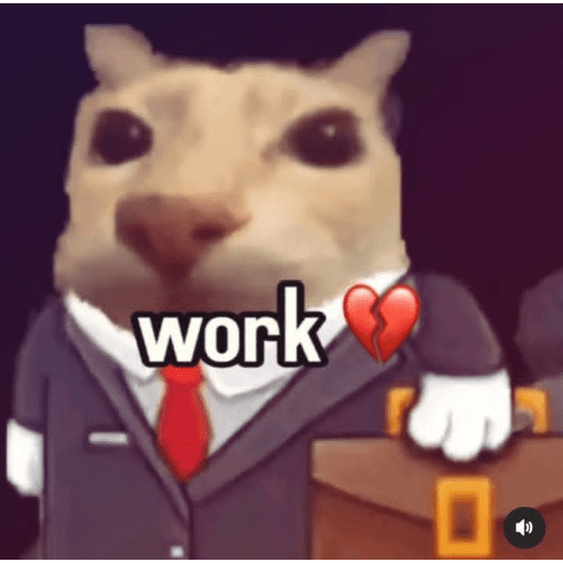 Meow 3