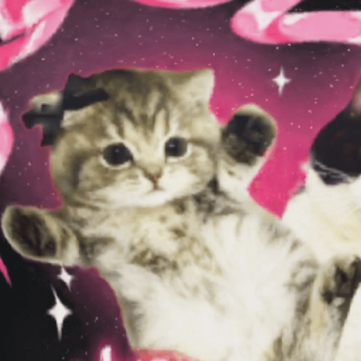 Meow 1