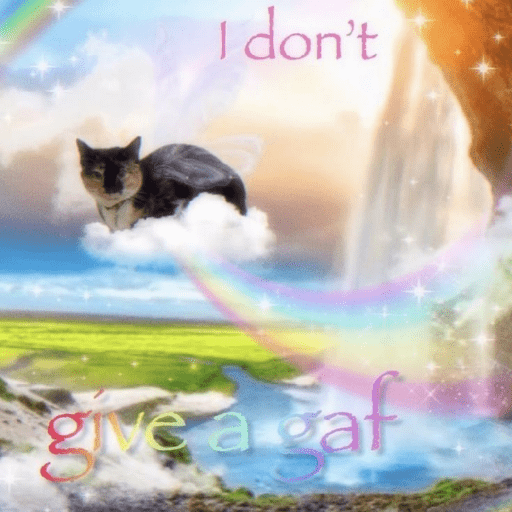 Meow 11