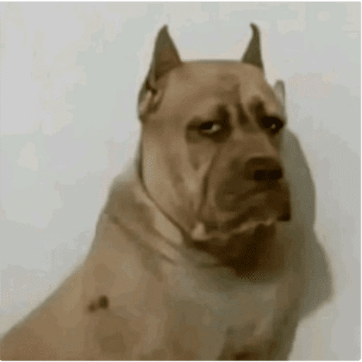 Bbb 6