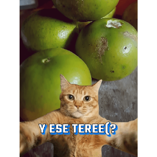 Meme2 9