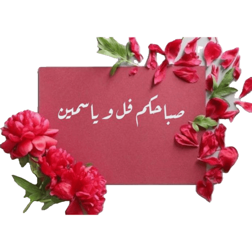 صباحووووو 4