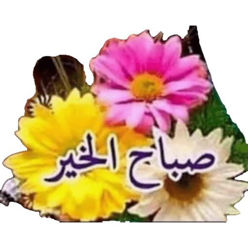 صباحووووو 13