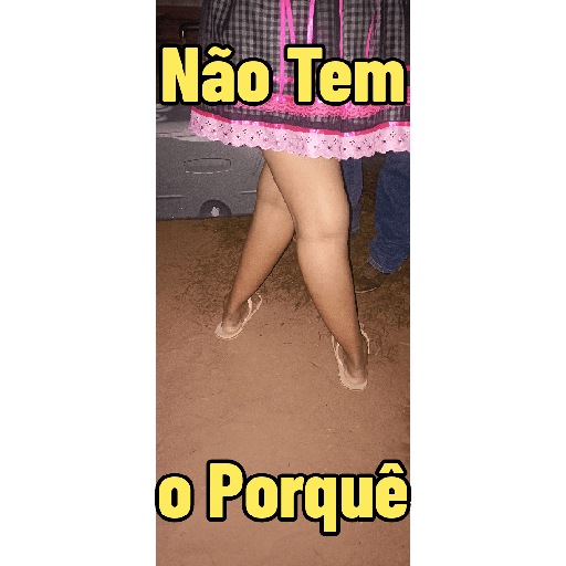 Minhas figurinhas 17
