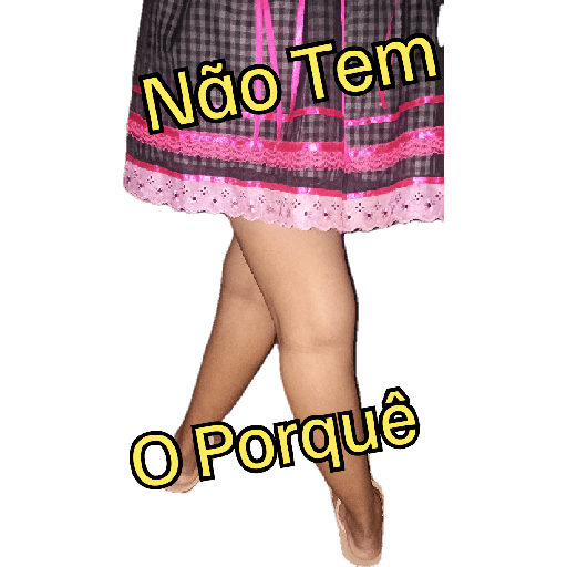 Minhas figurinhas 18