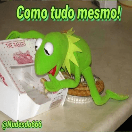La Rana Ranilla 19