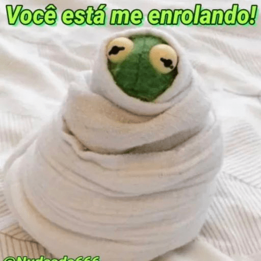 La Rana Ranilla 8