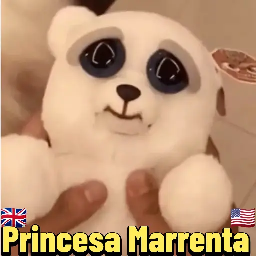🇬🇧PRINCESA MARRENTA🇺🇲 11