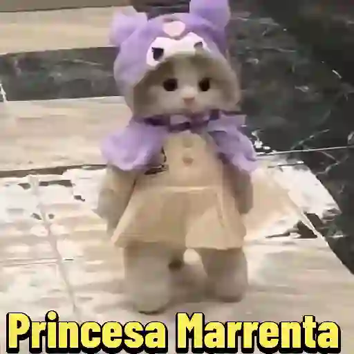 🇬🇧PRINCESA MARRENTA🇺🇲 26