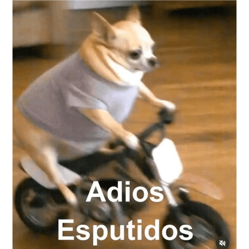 Penquita 11