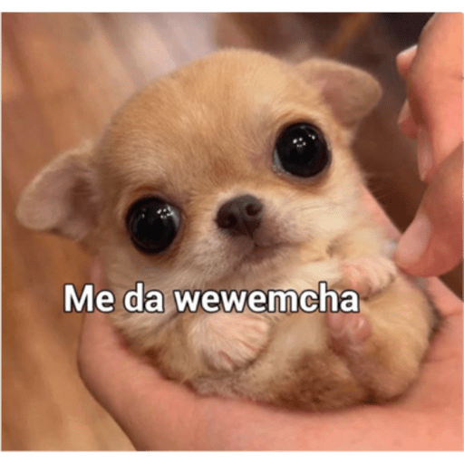 Penquita 10