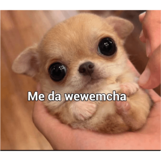 Penquita 9
