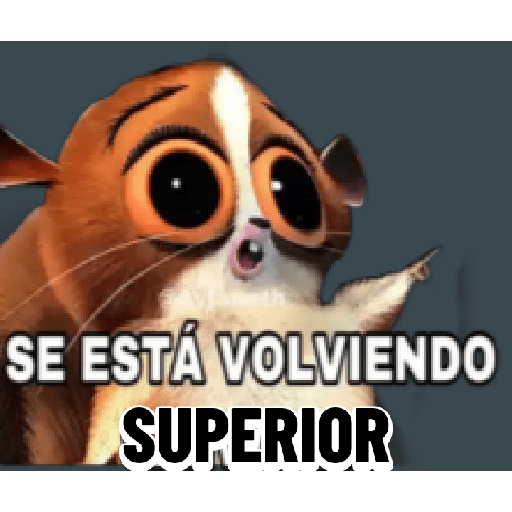 Nose 3