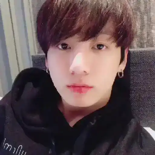 𝐉ungkook  —  ʙᴛꜱ