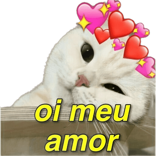 Minhas figurinhas 5