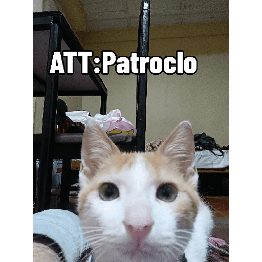 Sticker Image