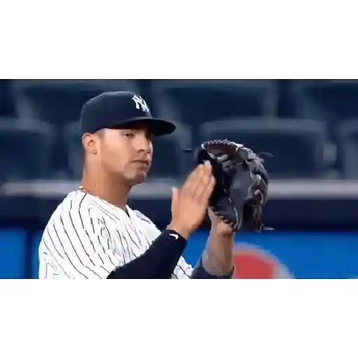 New York Yankees 25