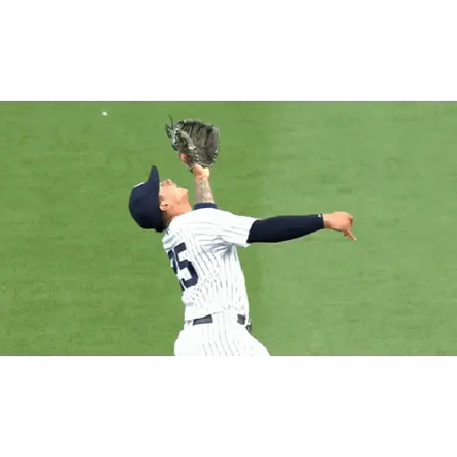 New York Yankees 24