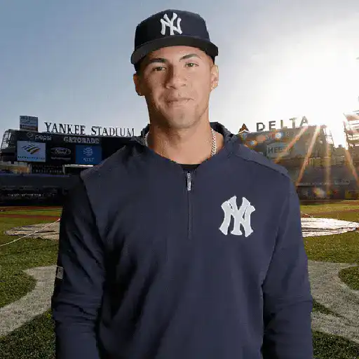 New York Yankees 23