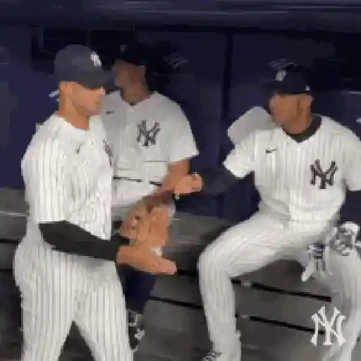 New York Yankees 19