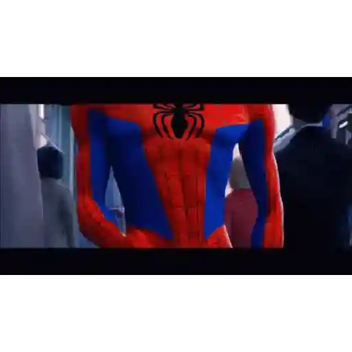 SpiderVerso 11