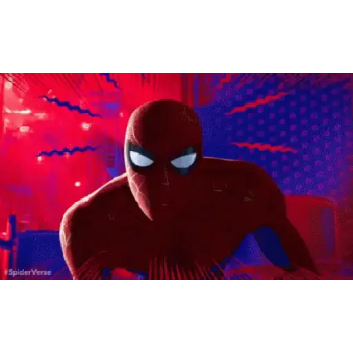 SpiderVerso 10