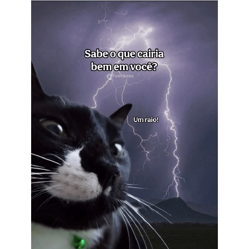 Memes