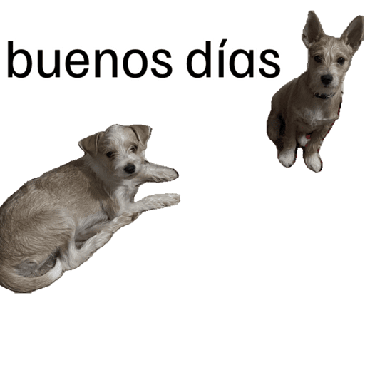 Mis pegatinas 6