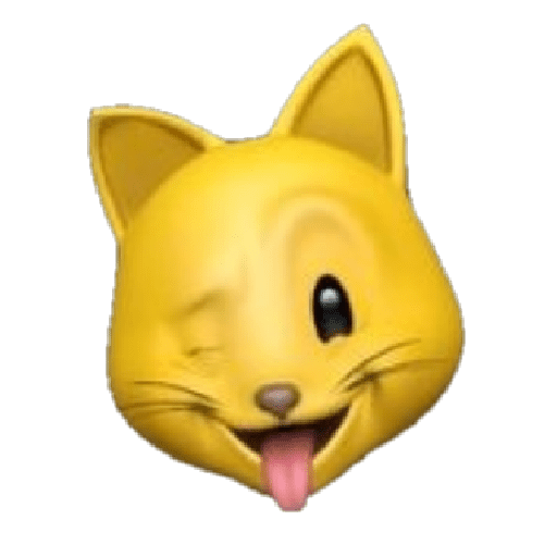 GATO 12