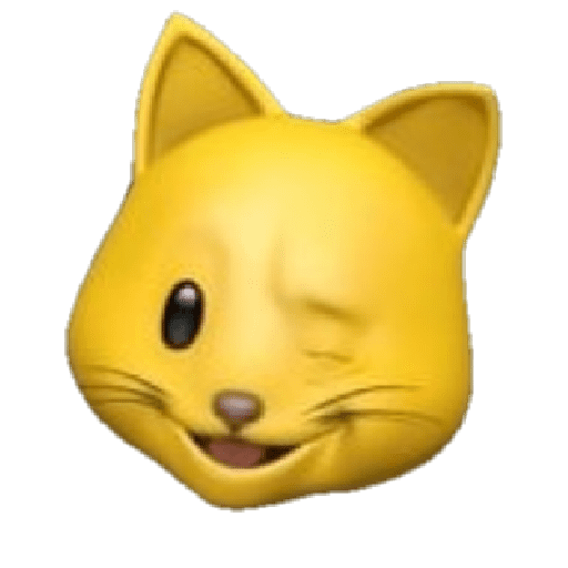 GATO 13