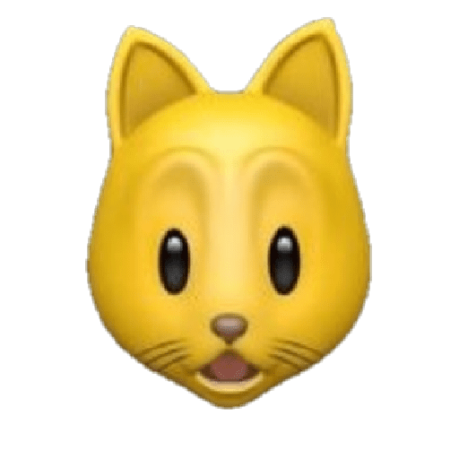 GATO 15
