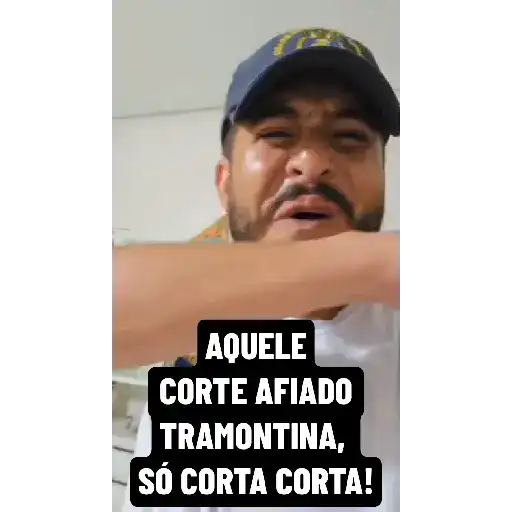 Ham Animadas  16