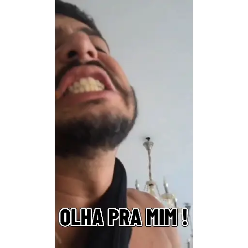 Ham Animadas  1