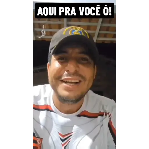 Ham Animadas  12