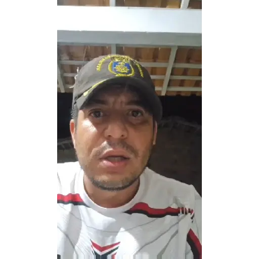 Ham Animadas  13