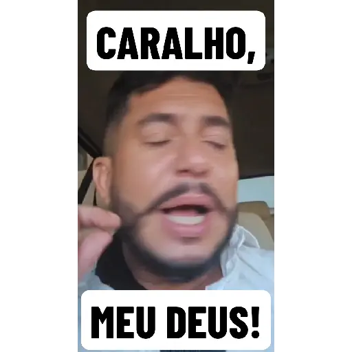 Ham Animadas  9