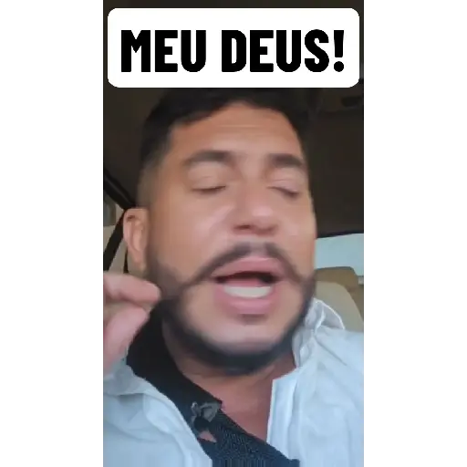 Ham Animadas  8