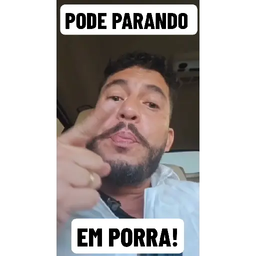 Ham Animadas  10