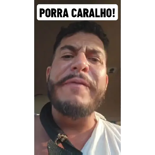 Ham Animadas  6