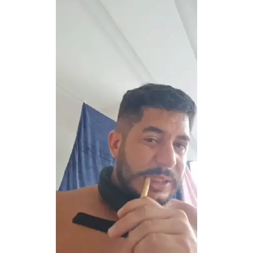 Ham Animadas  2